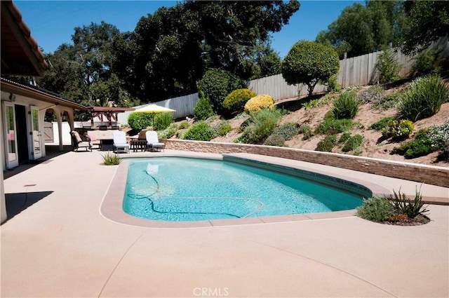 view of swimming pool with a patio