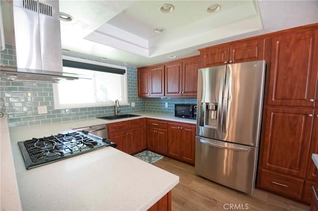 kitchen featuring sink, stainless steel appliances, a raised ceiling, ventilation hood, and light wood-type flooring