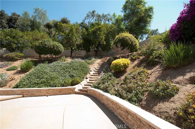 view of yard featuring a patio area