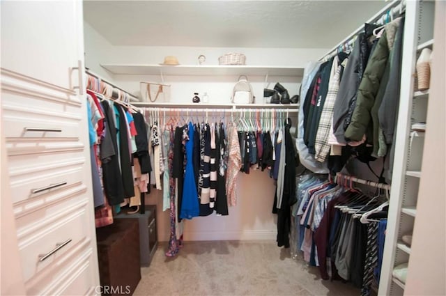 walk in closet featuring light carpet