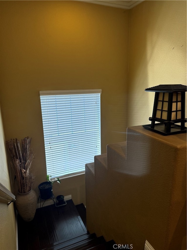 miscellaneous room with crown molding and a wealth of natural light