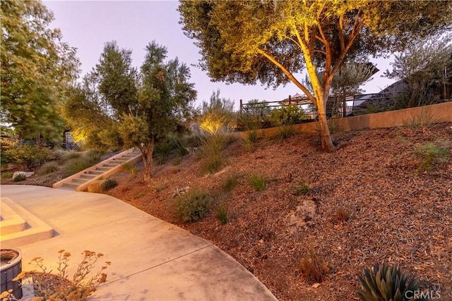 view of yard at dusk