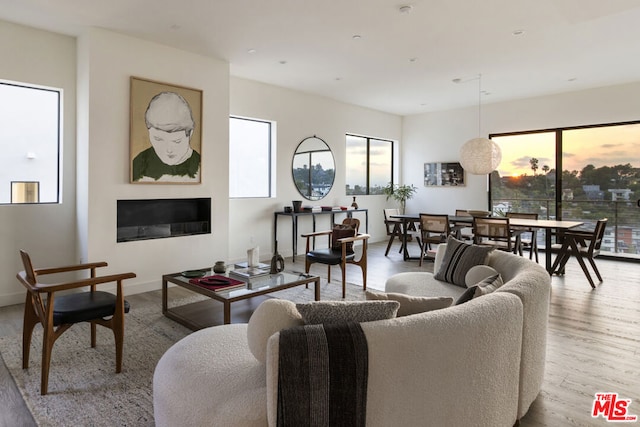 living room with light hardwood / wood-style flooring