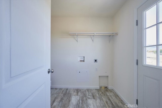 laundry area featuring washer hookup, electric dryer hookup, and wood-type flooring