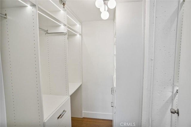 walk in closet with hardwood / wood-style floors