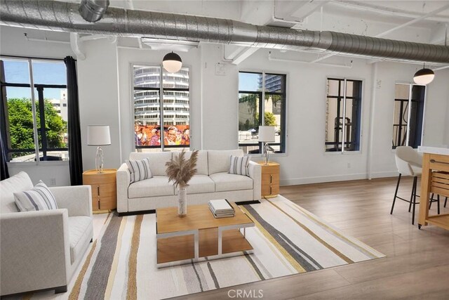 living room featuring hardwood / wood-style floors and a wealth of natural light