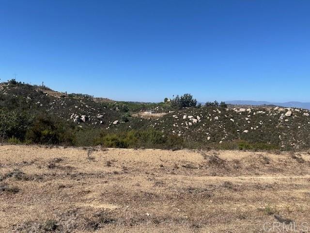 view of local wilderness