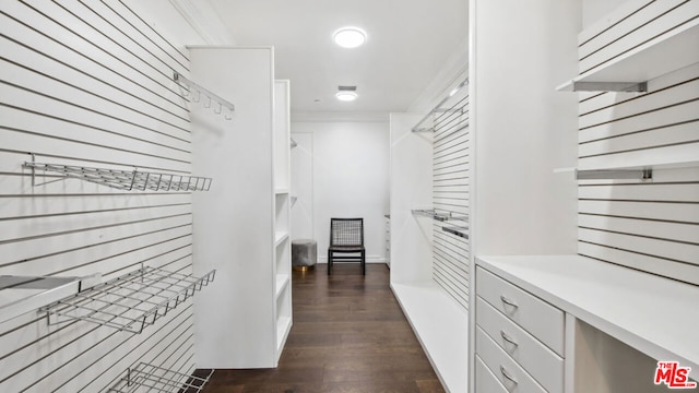 walk in closet with dark hardwood / wood-style floors