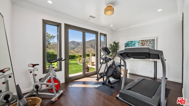 exercise area featuring ornamental molding, dark hardwood / wood-style flooring, a mountain view, and a wealth of natural light