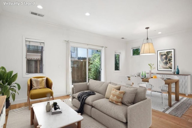 living room featuring light hardwood / wood-style flooring