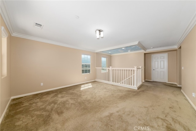 carpeted empty room with crown molding