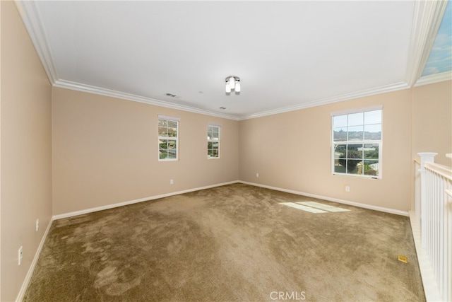 spare room with crown molding and carpet flooring