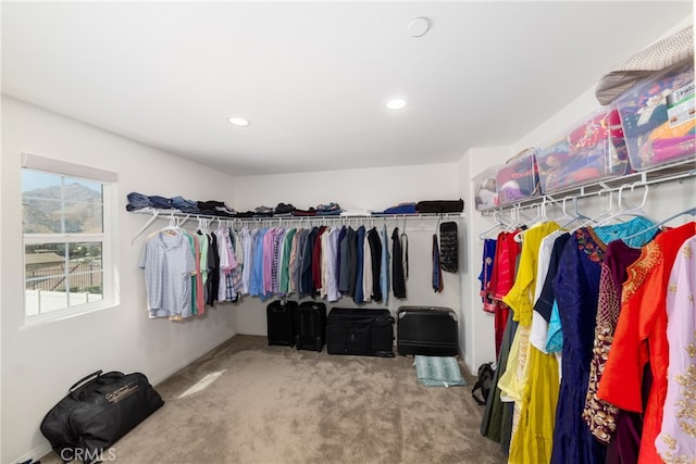 spacious closet with carpet