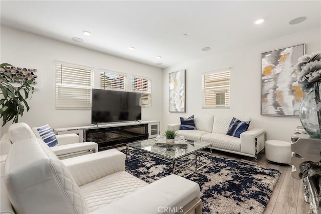 living room featuring hardwood / wood-style flooring