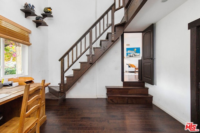 staircase featuring wood-type flooring