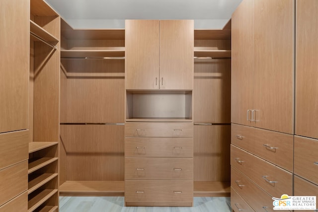 walk in closet with light hardwood / wood-style flooring