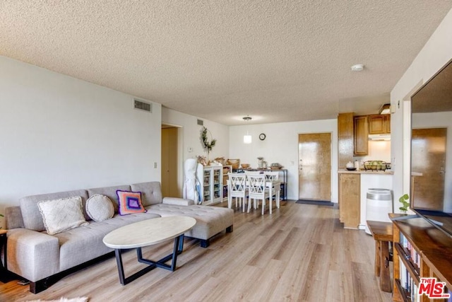 living room with a textured ceiling and light hardwood / wood-style floors