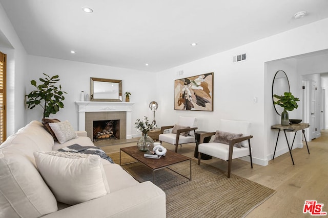 living room featuring light hardwood / wood-style floors and a fireplace