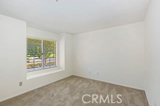 spare room featuring carpet flooring