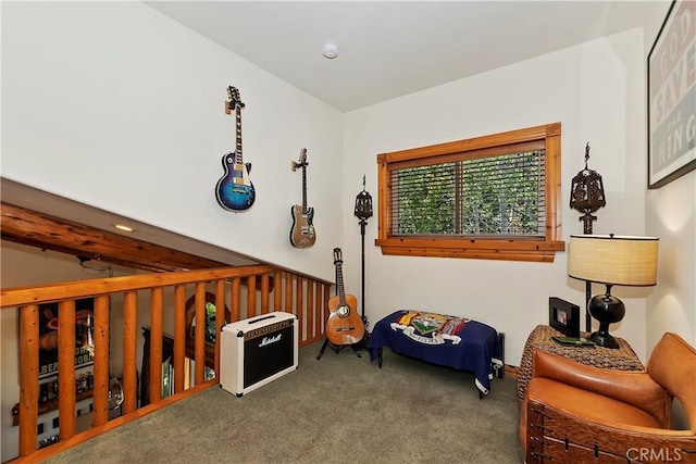 sitting room with dark carpet