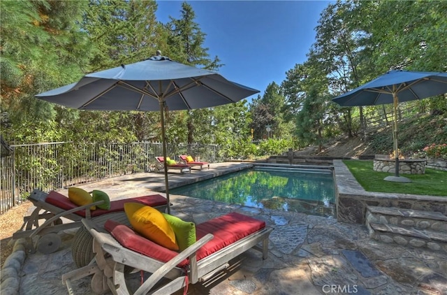 view of swimming pool with a patio