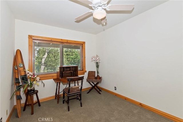 living area featuring ceiling fan and carpet flooring