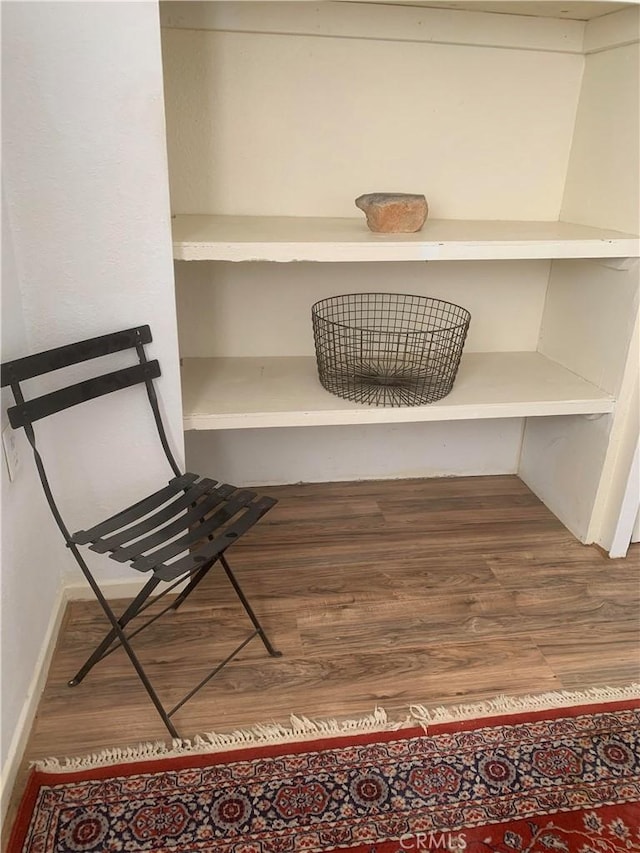 interior details featuring wood-type flooring