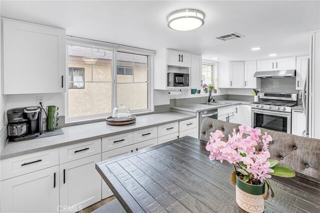 kitchen with under cabinet range hood, a sink, white cabinetry, visible vents, and appliances with stainless steel finishes