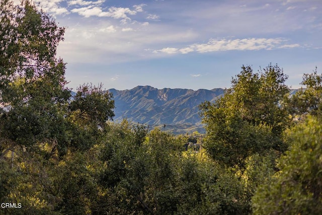 property view of mountains