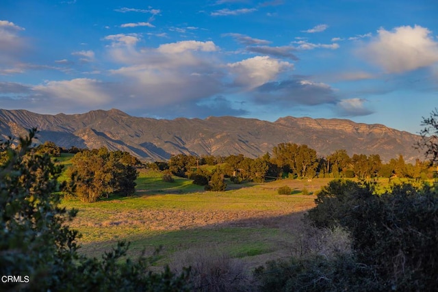 view of mountain feature