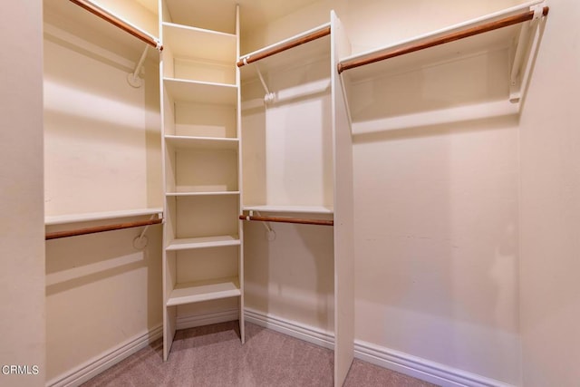 walk in closet featuring light colored carpet