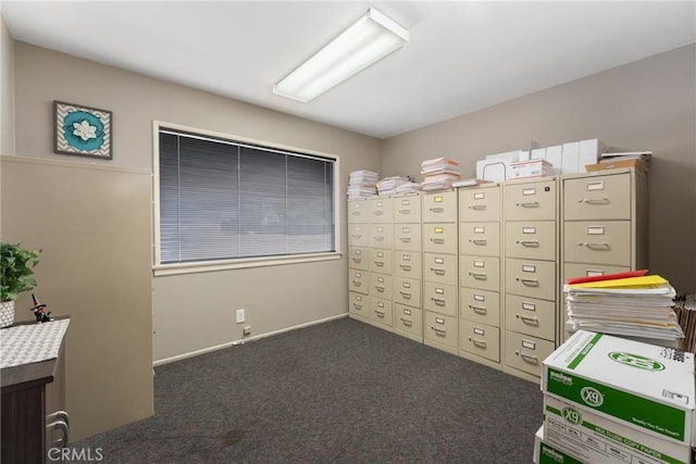 613 E Chapman Ave, Fullerton, CA 92831 - view of storage
