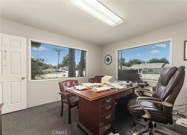 613 E Chapman Ave, Fullerton, CA 92831 - office featuring dark colored carpet