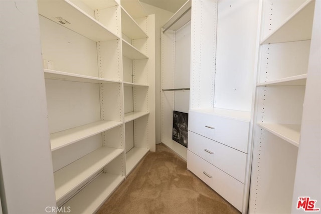 spacious closet with carpet