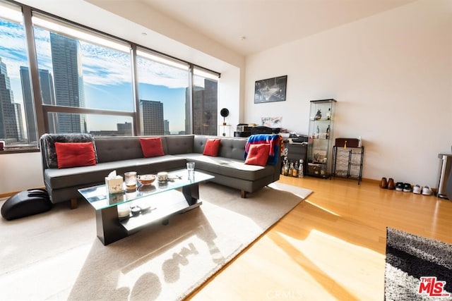 living room with hardwood / wood-style floors