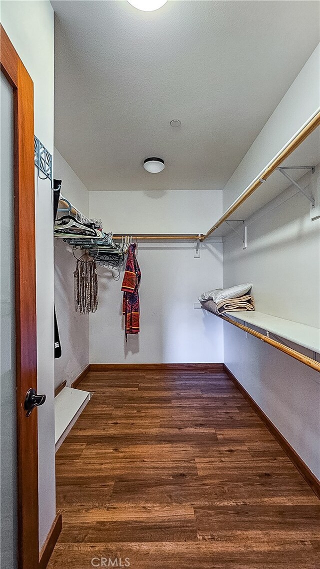 spacious closet featuring dark hardwood / wood-style flooring