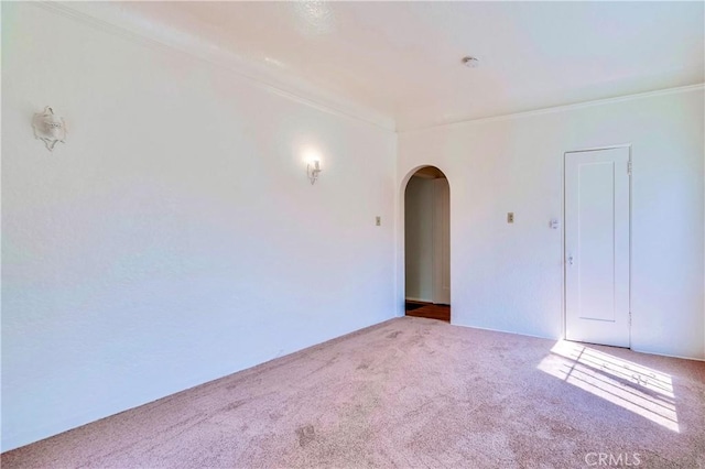 empty room featuring light carpet and ornamental molding