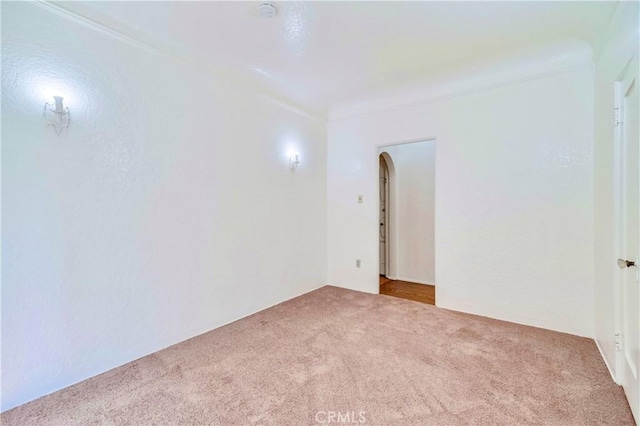 spare room featuring carpet flooring and ornamental molding