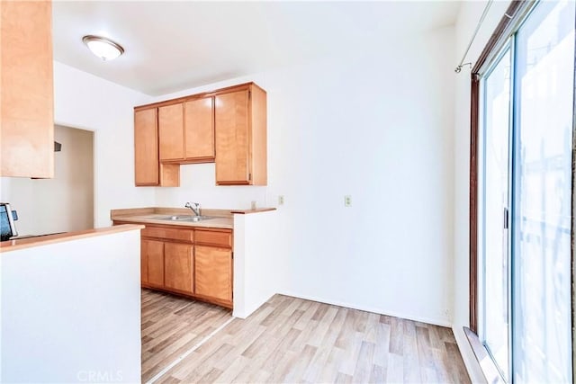 kitchen with sink and light wood-type flooring