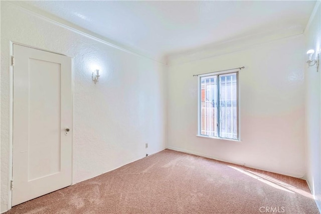 spare room with carpet flooring