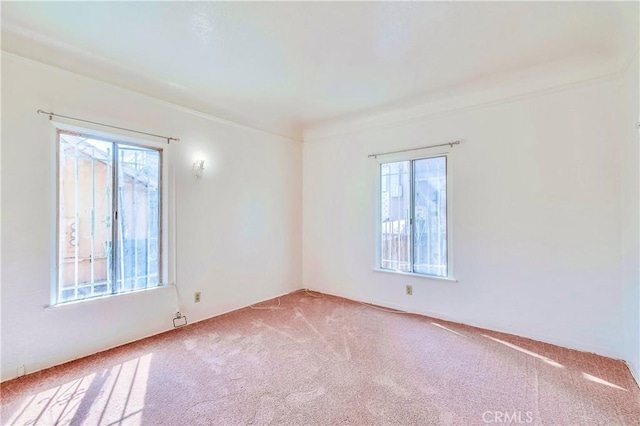 carpeted empty room featuring a healthy amount of sunlight