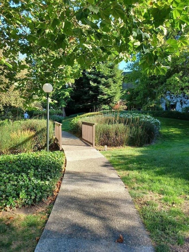 view of home's community featuring a yard