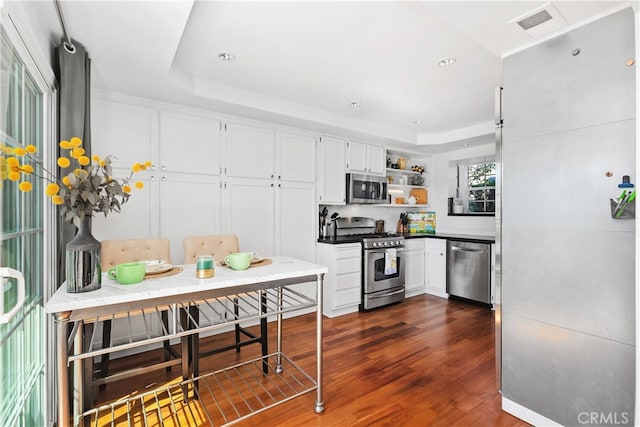 kitchen with white cabinets, a raised ceiling, appliances with stainless steel finishes, and dark hardwood / wood-style floors