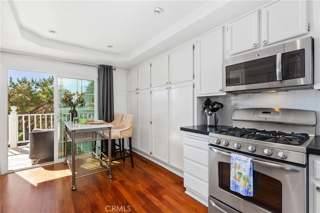 kitchen with stainless steel appliances, dark wood-type flooring, tasteful backsplash, and a tray ceiling