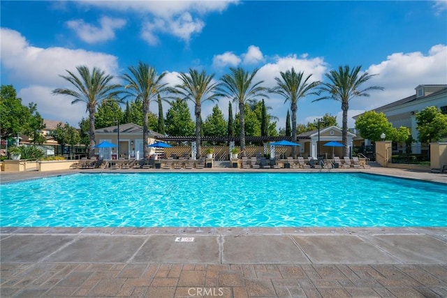 view of swimming pool with a patio area