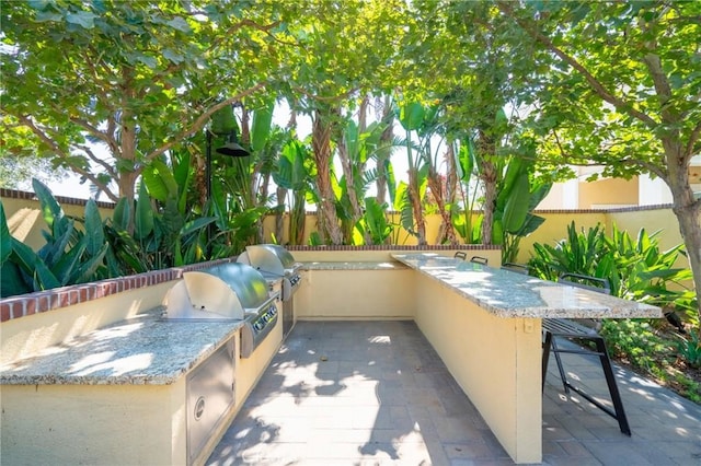 view of patio featuring an outdoor kitchen, a grill, and an outdoor bar