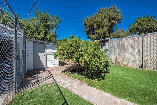 view of yard with a storage shed