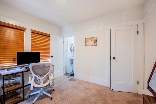 office area featuring light colored carpet