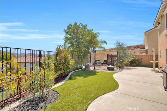 view of yard featuring a patio area