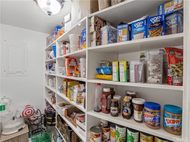 pantry featuring electric panel